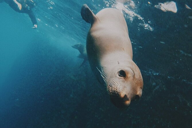 Full Day Galapagos 360 Tour From San Cristobal (Naturalist Guide) - Snorkeling Experience