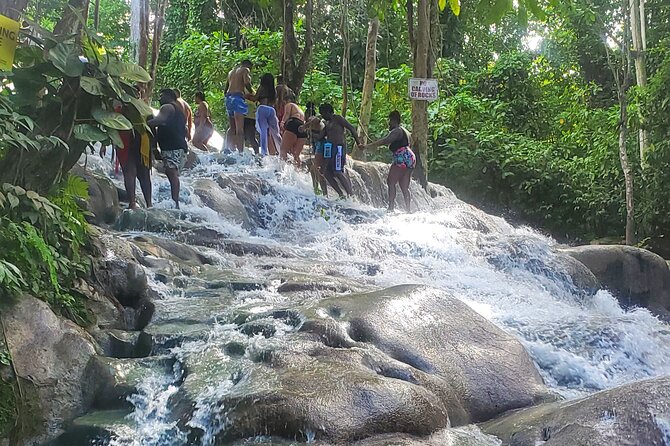 Full-Day Guided Tour to Dunns River Falls & Shopping With Lunch - Health and Safety Guidelines