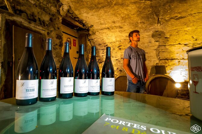 Full Day Guided Wine Tour With Tasting and Lunch - Wine Cellar Experience