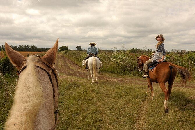 Full-Day Horseback Riding With Gauchos From Buenos Aires - Reviews and Feedback