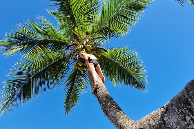 Full-Day Jungle Trek on Nosy Komba (Lemur Island) With the Black Lemur Sanctuary - Health and Safety Considerations