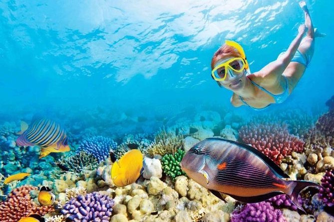 Full-Day Key West Tour and Coral Reef Snorkeling With Open Bar - Scenic Drive to Key West