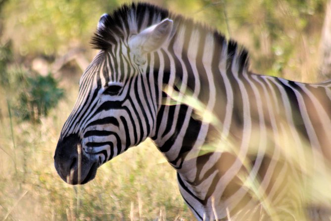 Full-Day Kruger National Park Safari - Inclusions and Exclusions