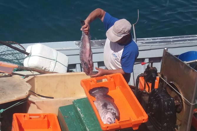 Full-Day Lagos and Sagres Tour From Albufeira - Mercado Municipal De Lagos