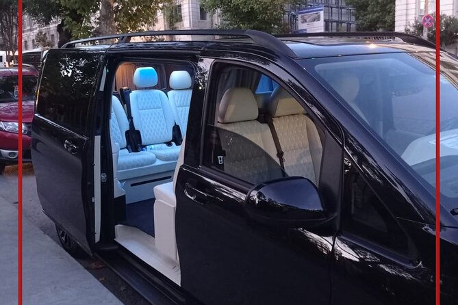 Full Day Luxury Vehicle Rental in Istanbul - Accessibility and Extras