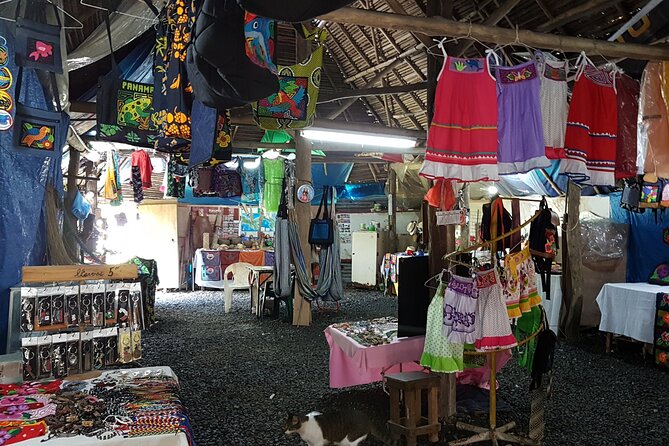 Full Day Panama History Tour With Private Guide - Reviews and Feedback