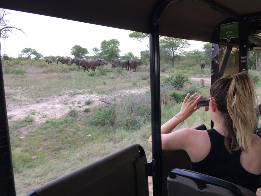 Full-Day Private Big 5 Safari in Kruger National Park - Morning Game Drive