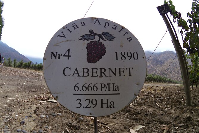 Full Day Private Colchagua Wine Tour From Santiago - Customizability and Pricing
