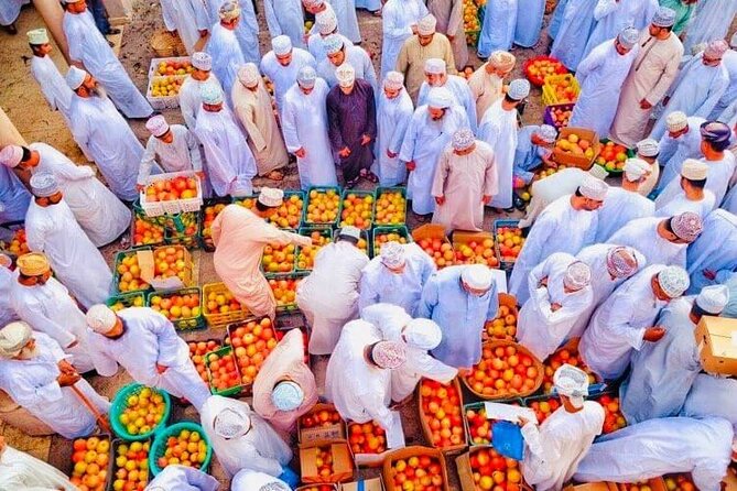 Full Day Private Nizwa/Jebel Akhdar - Exploring Nizwa Souq