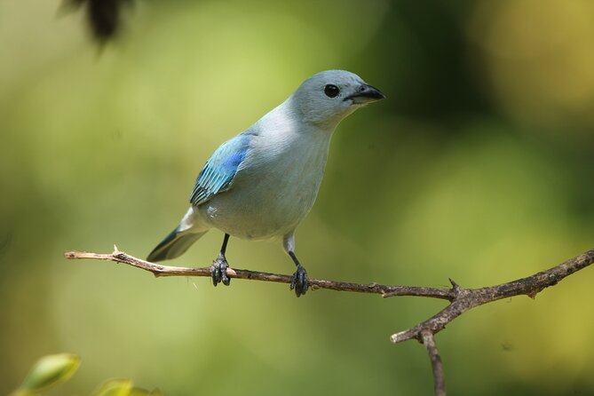 Full Day Private Tour in Monteverde, Costa Rica - Inclusions