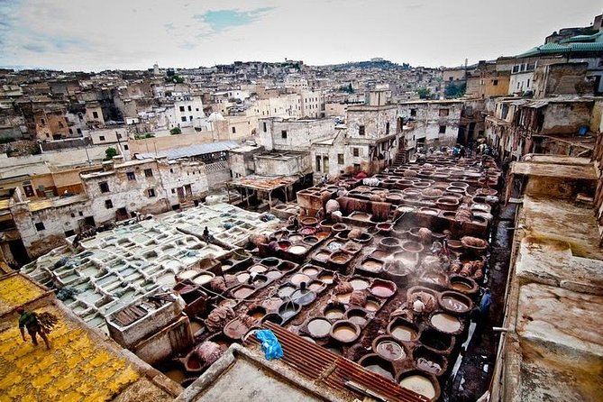 Full-Day Private Tour of Fez - Exploring the Medina