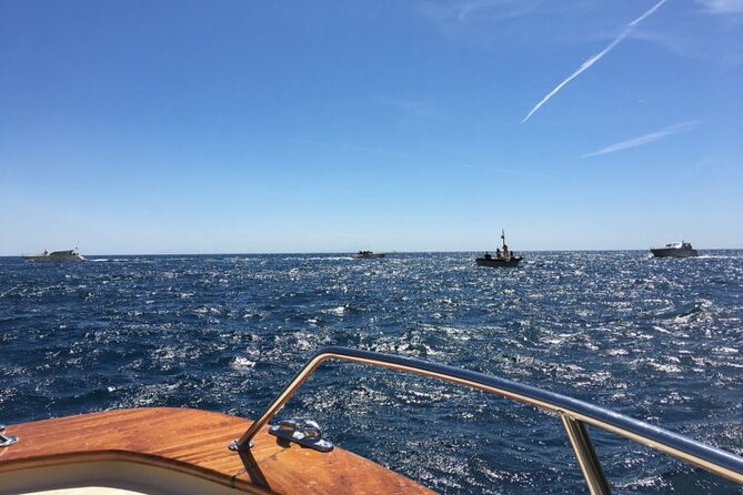 Full-Day Private VIP Boat Tour to Capri - Scenic Coastline Sightseeing