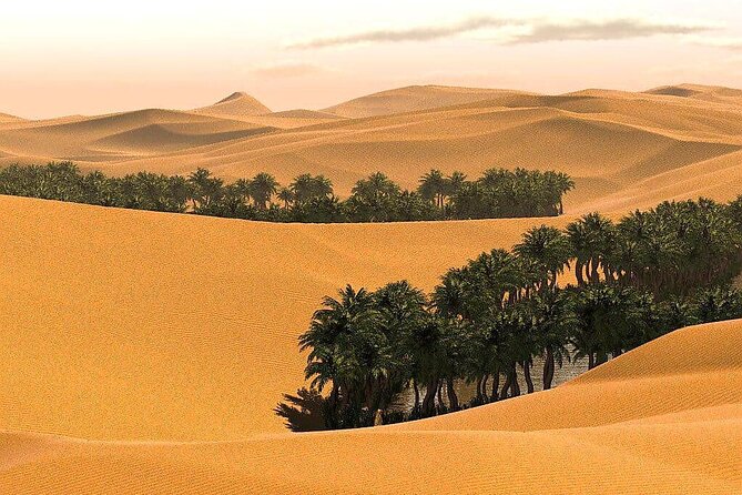 Full-Day Private Wahiba Sands Desert and Wadi Bani Khalid Tour - Cultural Insights