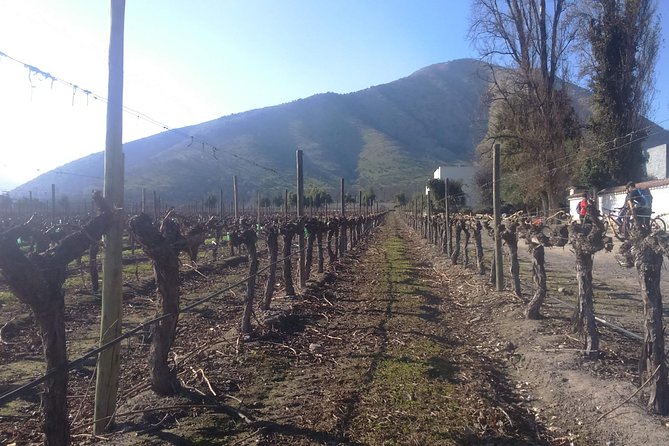 Full Day Private Wine Tour Casablanca Valley From Santiago - Bodegas RE