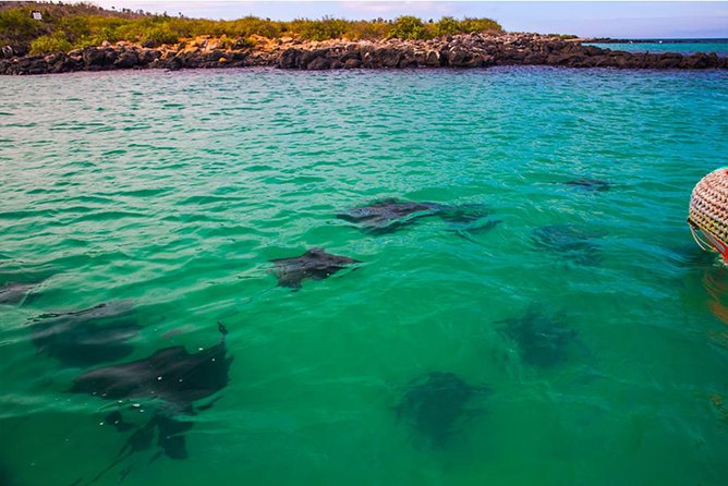 Full Day Santa Fe & Playa Escondida Snorkeling Tour - Meeting and Pickup