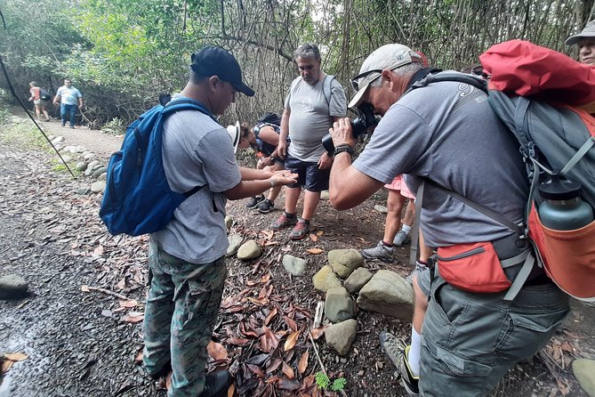 Full Day to Ecological Reserve Churute Mangrove and Cocoa Farm Visit - Weather Considerations