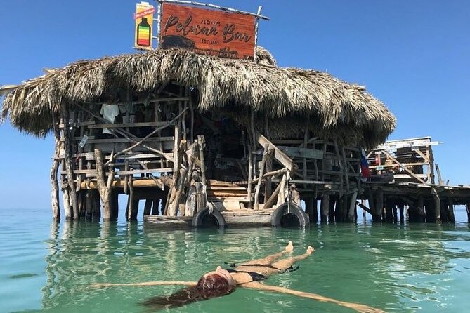 Full Day to YS Falls, Border & Floyds Pelican Bar - Traveler Considerations