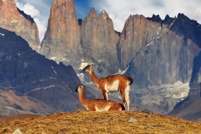 Full Day Torres Del Paine & Milodon - Discovering Torres Del Paine