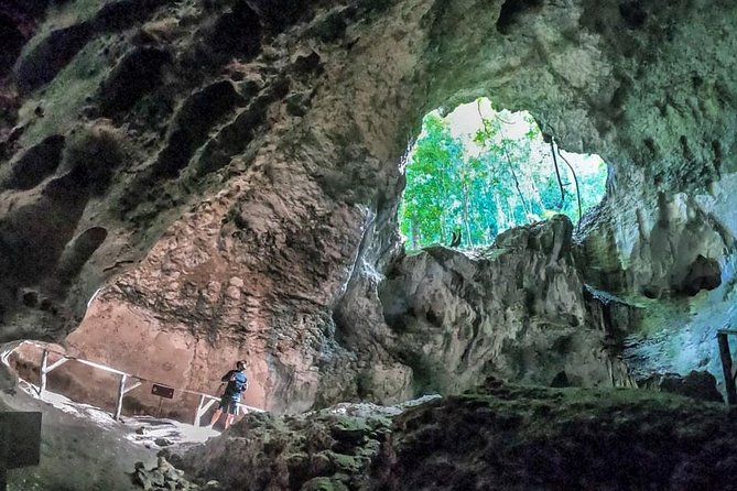 Full-Day Tour of Cayo Levantado and Los Haitises National Park - Additional Information