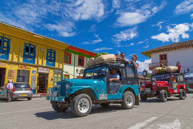 Full Day Tour of Cocora Valley, Salento, and Filandia Coffee Town (from Pereira) - Accessibility and Participation Details