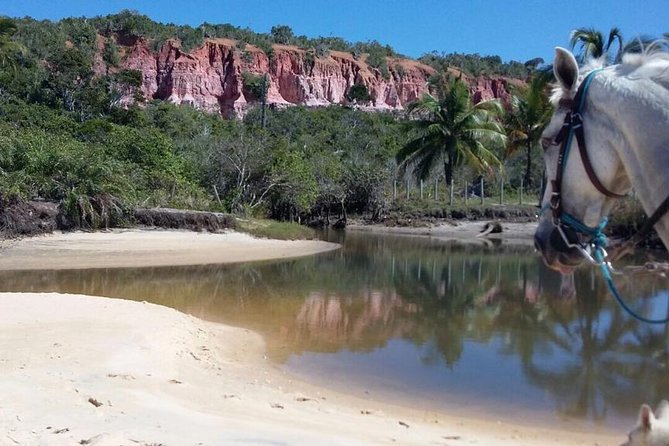 Full-Day Tour to Arraial D'ajuda From Porto Seguro - Accessibility and Additional Information