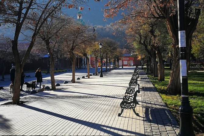Full Day Tour to Cajón Del Maipo in a Small Group - Pickup Information