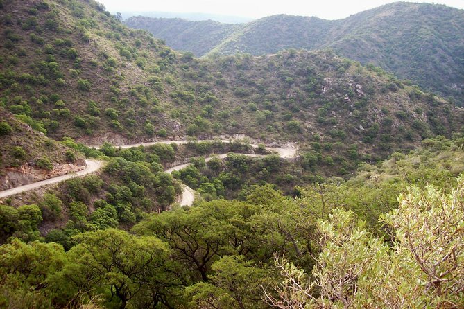 3 Best Full-Day Tours In Cordoba