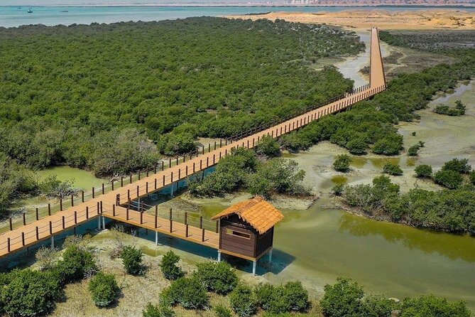Full Day Tour to Qatar North And West With Pickup From Doha - Traveler Experiences