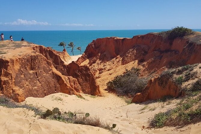 Full Day Tour to the Beaches of Ceará - Expectations and Accessibility