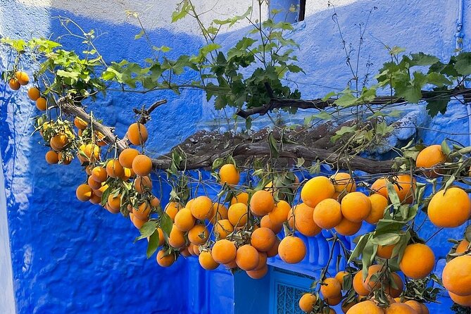 Full-Day Tour to the Blue City Chefchaouen on Small-Group - Key Sights in Chefchaouen