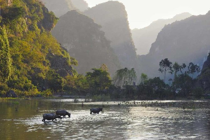 Full Day Trip to Discover Ninh Binh – Hoa Lu – Tam Coc From Ha Noi - Inclusions and Amenities