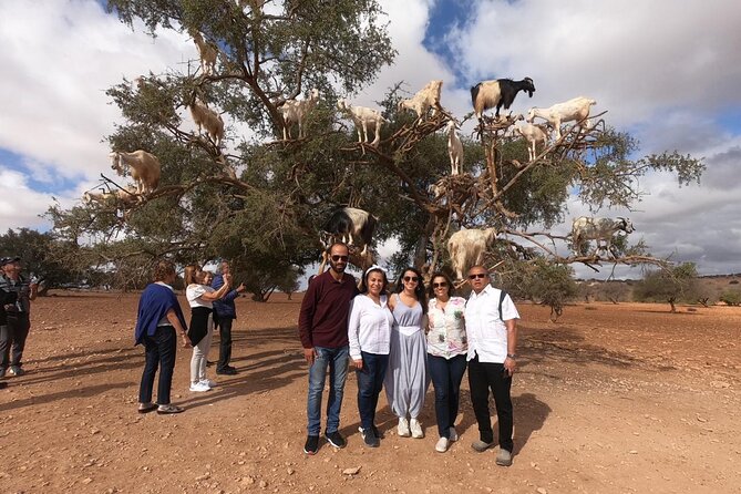 Full Day Trip to Essaouira City From Marrakech - What to Expect on Your Trip