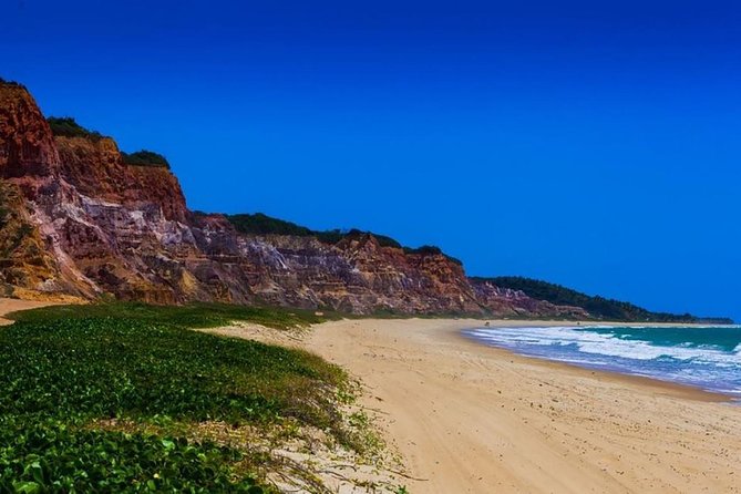 Full Day Trip to Gunga Beach From Maceió - Tour Inclusions and Exclusions
