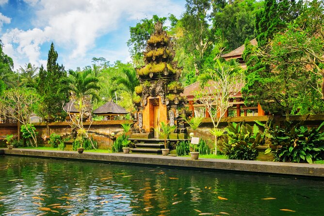 Full Day Ubud Private Tour With Swing Experience - Inclusions and Pricing