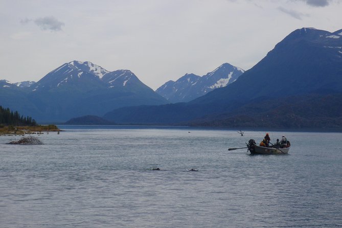 Full-Day Upper Kenai River Guided Fishing Trip - What to Bring