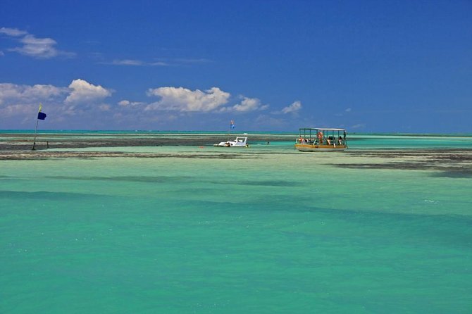 Full-Day Visit to Paripueira Beach and Tide Pools in Maceió - Feedback and Reviews