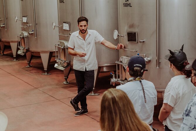 Full Day Visit to Vineyard and Premium Tasting in San Miguel - Reviews and Feedback