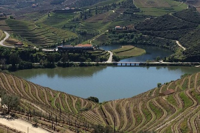 Full Day, Wine Tasting, River Cruise and Lunch From Porto - Traveler Experiences and Feedback