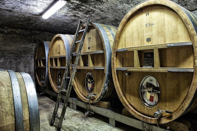 Full-Day Wine Tour Around Bandol & Cassis From Marseille - Winery Visits and Tastings