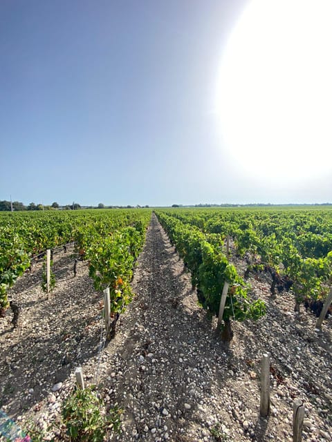 Full Day Wine Tour in Saint Emilion & Margaux - Inclusions