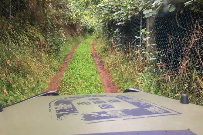 Funchal Small-Group Food and Drinks Tour  - Madeira - Scenic Jeep Tour and Informative Guide