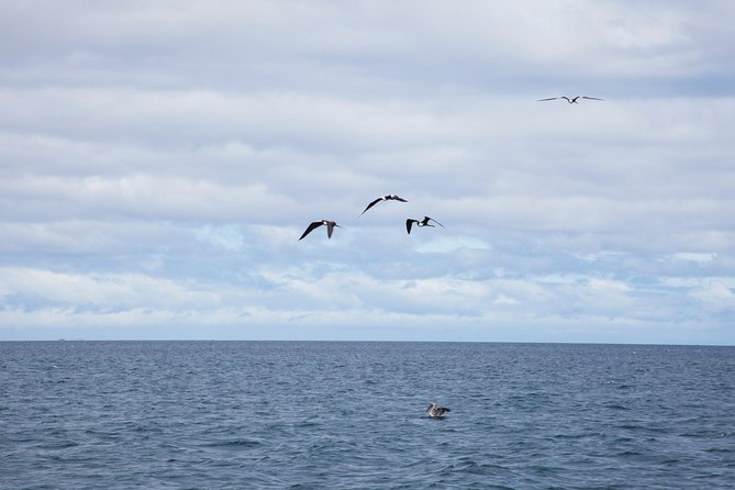 Galapagos Islands Airport Arrival Transfer - Customer Reviews and Feedback