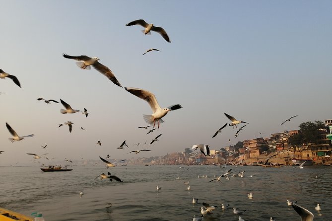 Ganga Sunrise Boat Tour - Tips for Travelers