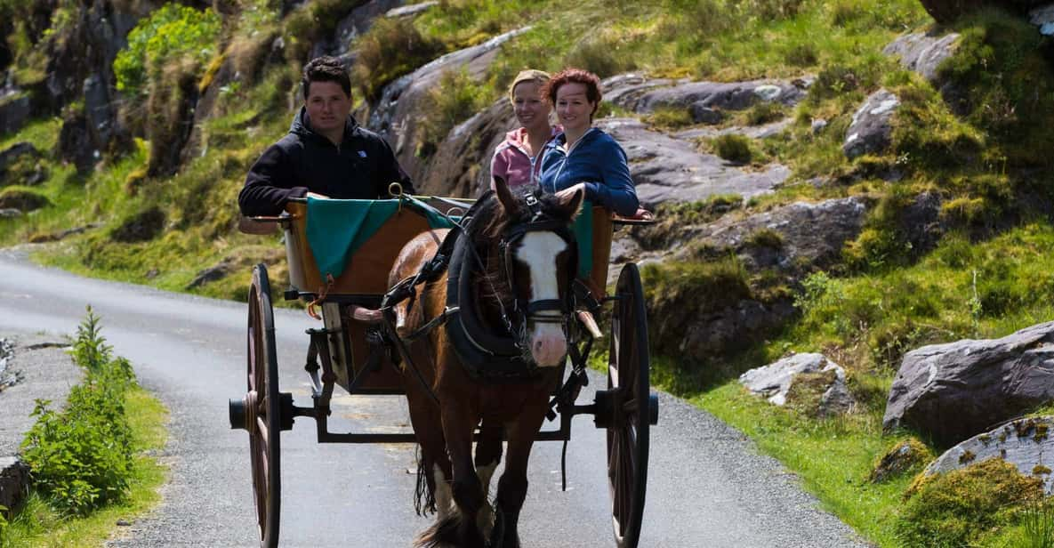 Gap of Dunloe & Lakes of Killlarney Boat Tour - Detailed Itinerary