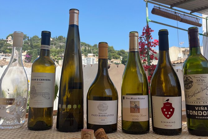Gastronomic Wine Tasting Experience Guided by a Sommelier - Pairing Local Delicacies