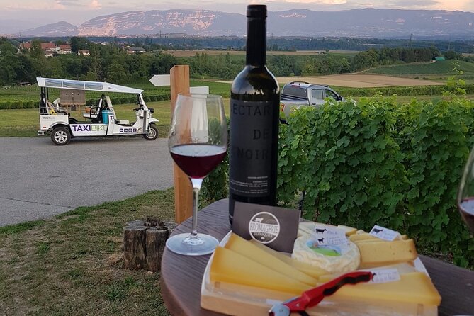 Geneva Panoramic & Tasting Vineyards Tour in an Tuk Tuk - Booking and Cancellation Policy