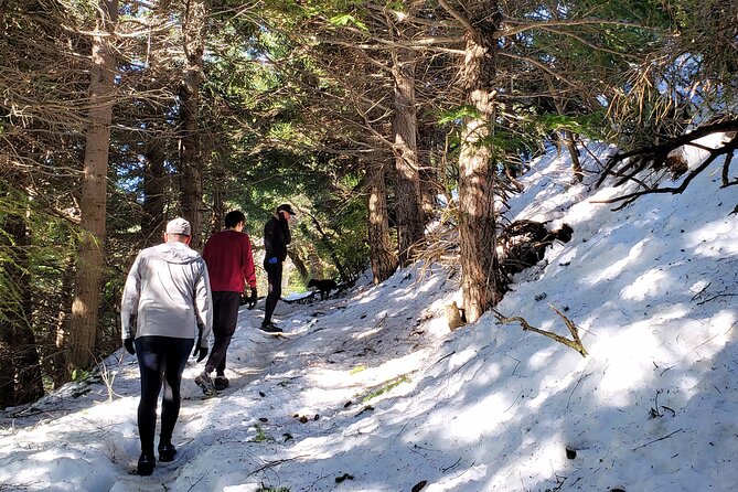 GERMAN TREKKING to BERGHOF - Mountain Stories - Activity Requirements