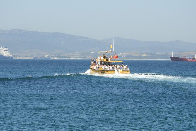 Gibraltar Dolphin Adventure - Exploring Gibraltars Marine Life