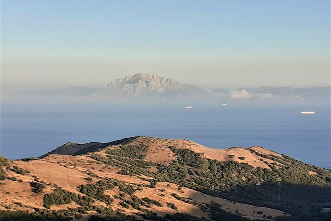 Gibraltar Private Trip From Marbella or Malaga - Tour Itinerary and Duration