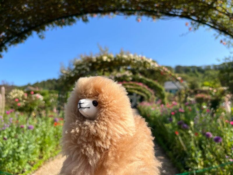 Giverny Half-Day Private Tour by Mini-Van (Up to 6 Ppl) - Highlights